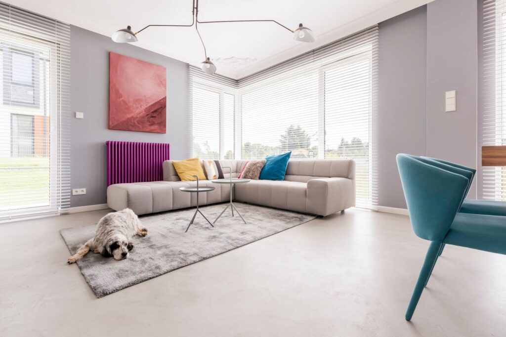 dog in a house interior 1